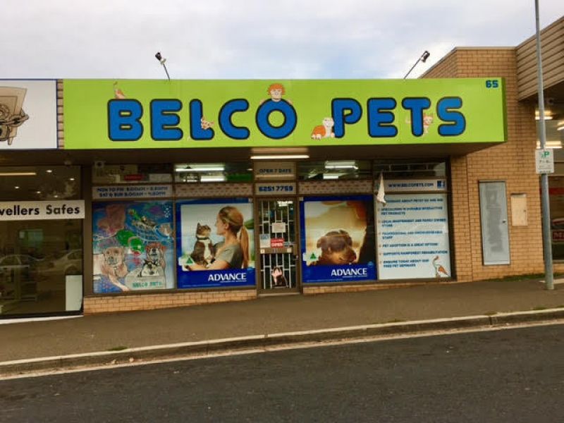 Businesses and Franchises for sale in Canberra, ACT 2600, within a
