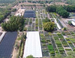 Tropical Plant Nursery