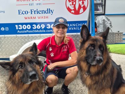 love-dogs-become-an-aussie-pooch-mobile-representative-5