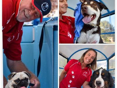 love-dogs-become-an-aussie-pooch-mobile-representative-7