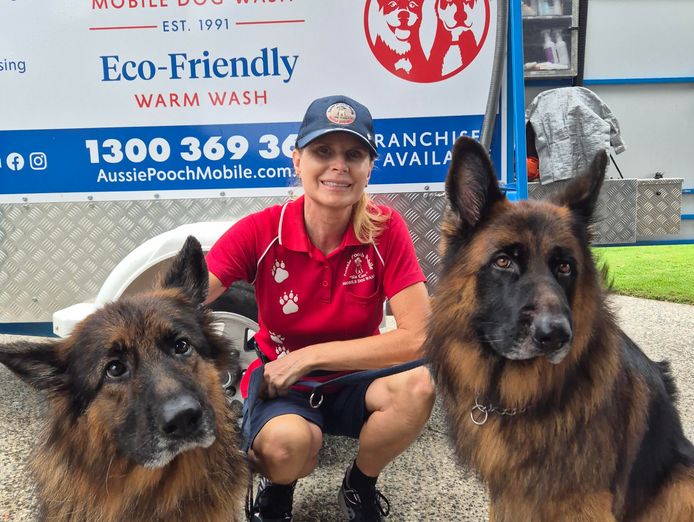 love-dogs-become-an-aussie-pooch-mobile-representative-5
