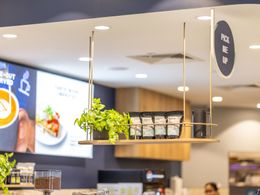 A new Jamaica Blue cafe opportunity is now available at Burpengary Central, QLD