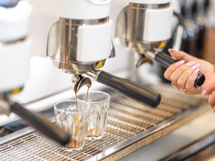 a-new-jamaica-blue-cafe-opportunity-is-available-in-westfield-southland-vic-0
