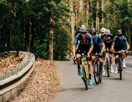 Tasmania's First Touring Style Bike Tours Lifestyle Business Opportunity Est 22