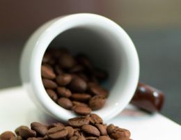 Scalable E-commerce Coffee business showing rapid sales growth