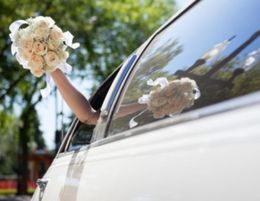 Long-Standing Car and Limousine Hire Business, Central Coast