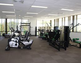 Fully Equipped Boutique Gym For Rent #5319