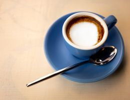 UNDER MANAGEMENT CONCORD CAFE | MAS
