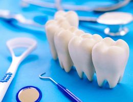 Dental Related Manufacturing Business