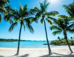 Management Rights Airlie Beach - Gateway to the Whitsunday Islands and the Great