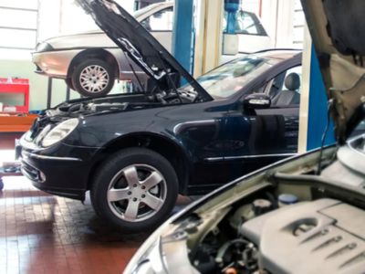 turnkey-automotive-franchise-opportunity-trusted-brand-loyal-customers-amp-5