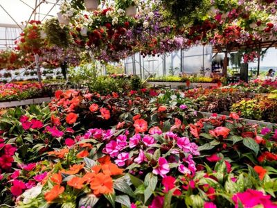 established-garden-centre-and-landscape-supplies-with-significant-growth-potenti-0