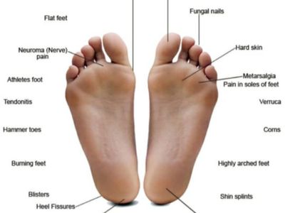 thriving-allied-health-clinic-in-podiatry-established-client-base-amp-growth-1
