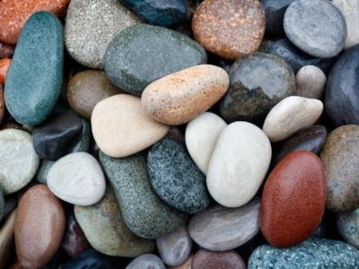 landscape-supplies-earthmoving-business-run-under-management-near-gosford-4