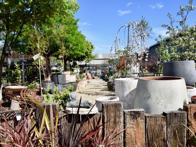 established-garden-centre-and-landscape-supplies-with-significant-growth-potenti-2