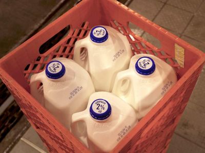 stable-milk-run-business-huge-opportunity-for-growth-2