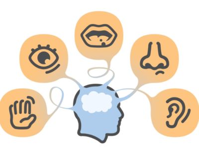 thriving-sensory-amp-educational-online-retail-business-with-enormous-growth-p-1