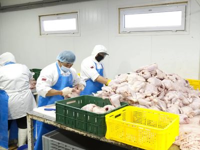 fresh-meat-processing-amp-distribution-business-1