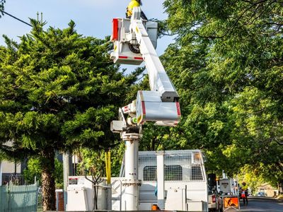 vegetation-maintanance-municipal-contractor-0