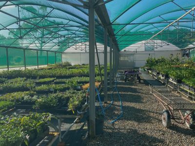 plant-the-seed-for-your-future-5