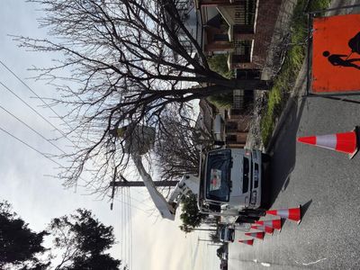 vegetation-maintenance-municipal-contractor-3