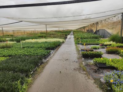 leased-nursery-and-spa-supplies-wholesale-and-retail-with-18-5-acres-and-3-bed-4