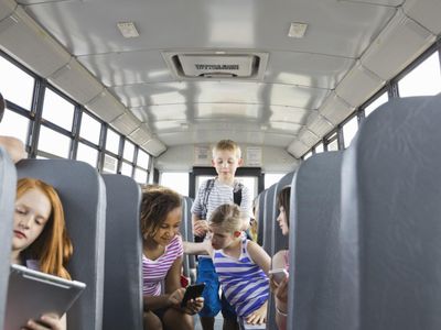 work-abt-3-hrs-day-profitable-school-bus-govt-contracts-campbell-town-tasmania-0