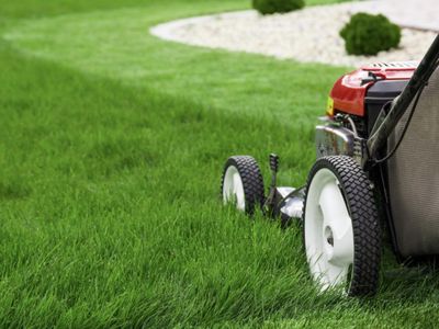 lawn-mowing-business-bayside-regioin-0