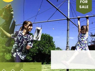 sale-established-clothes-hoist-business-5