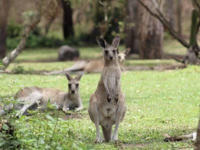 caravan-park-freehold-on-the-fraser-coast-3