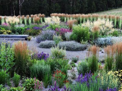 wholesale-amp-retail-nursery-established-perennials-nursery-opportunity-vi-2