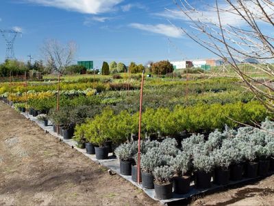 quality-horticultural-business-vic-2