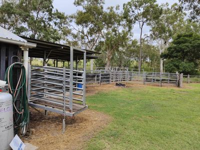thriving-butcher-shop-smokehouse-freehold-processing-plant-2