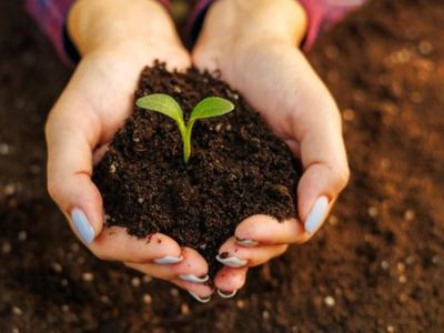 landscape-supplies-earthmoving-business-run-under-management-near-gosford-8