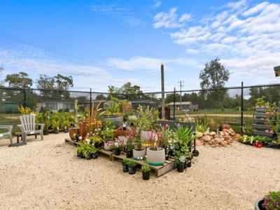 vendors-terms-busy-hardware-amp-garden-centre-6