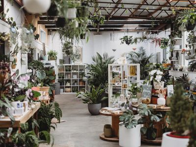 boutique-plant-garden-nursery-amp-giftware-store-creative-lifestyle-busine-5