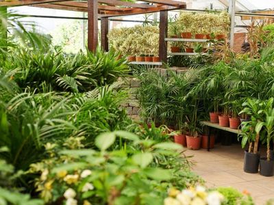 exotic-wholesale-nursery-freehold-land-sunshine-coast-2m-sales-402k-pro-2