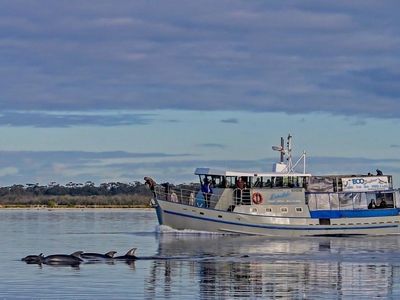 boat-cruise-business-for-sale-a-great-lifestyle-0