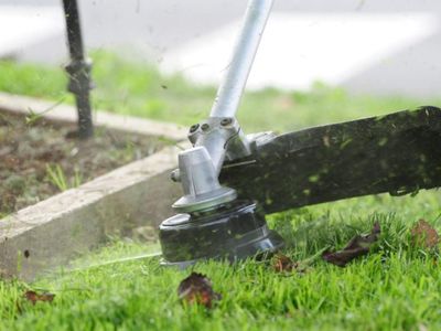 leading-mower-retail-sales-service-business-run-under-management-4