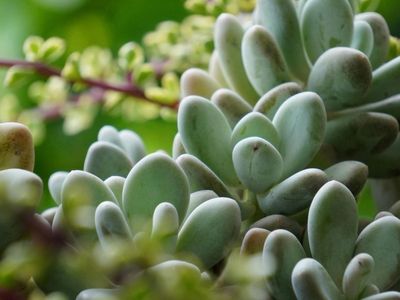 protective-membrane-specialist-t-o-5m-wellington-central-nz-2