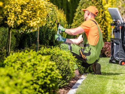 established-landscaping-business-revenue-2-6m-illawarra-region-2