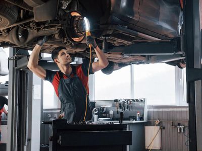 proven-sydney-auto-workshop-22-years-brand-aligned-loyal-clients-expansion-5