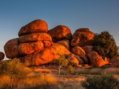 premier-central-australia-tour-business-in-australia-39-s-red-heart-4