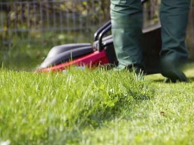 long-established-lawn-garden-business-high-income-work-from-anywhere-1