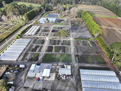 established-wholesale-production-nursery-under-management-1-9m-profit-0