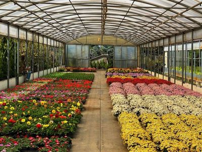 horticulture-nursery-and-agriculture-businesses-for-sale-1