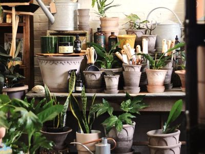 highly-successful-blooming-deloraine-floristry-high-turn-over-o-o-75-000-sav-6