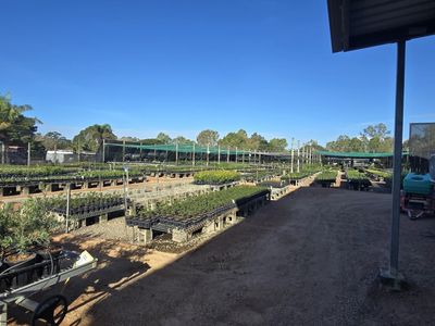 central-to-north-queensland-wholesale-nursery-strategic-add-on-or-lifestyle-bu-1