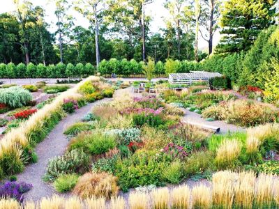 wholesale-amp-retail-nursery-established-perennials-nursery-opportunity-vi-0