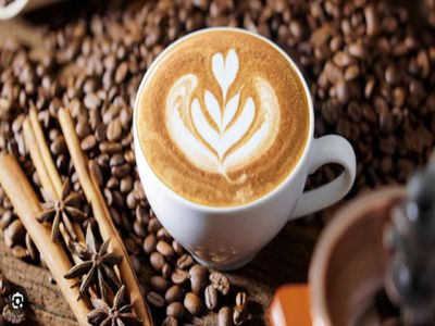 caf-233-independent-busy-lygon-st-dining-precinct-highly-profitable-2